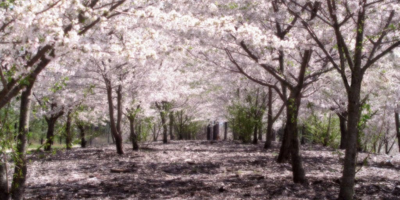 Pédopsychiatrie, difficultés scolaires, ⁠TDAH, haut potentiel