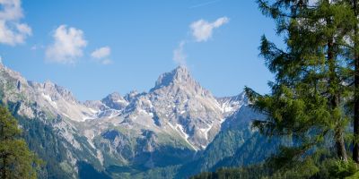 Pédopsychiatrie, difficultés scolaires, ⁠TDAH, haut potentiel