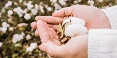 Pédopsychiatrie, difficultés scolaires, ⁠TDAH, haut potentiel