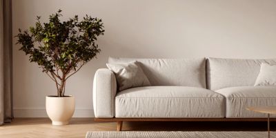 Pédopsychiatrie, difficultés scolaires, ⁠TDAH, haut potentiel